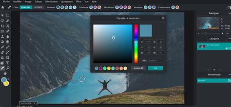 pixlr e|pixlr gratuit français.